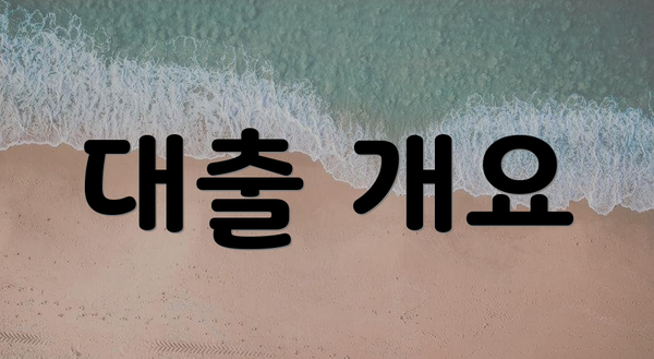 대출 개요