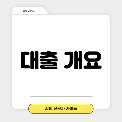 대출 개요