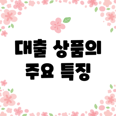대출 상품의 주요 특징
