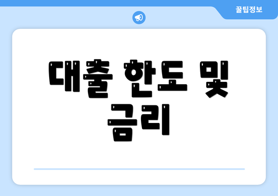 대출 한도 및 금리