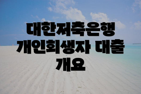 대한저축은행 개인회생자 대출 개요