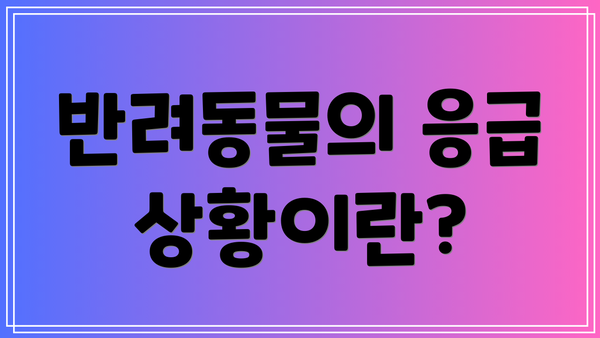 반려동물의 응급 상황이란?