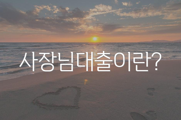 사장님대출이란?