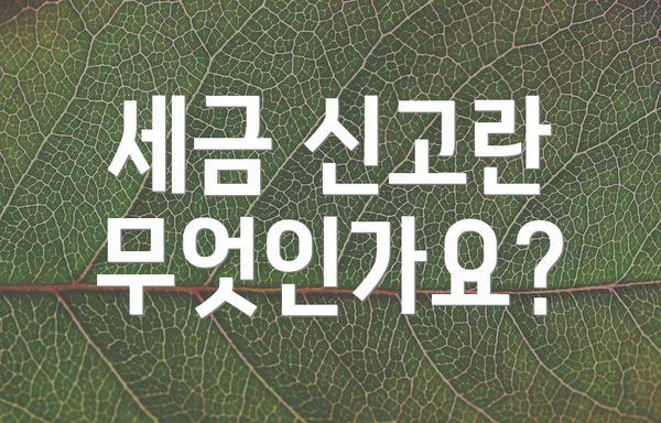 세금 신고란 무엇인가요?