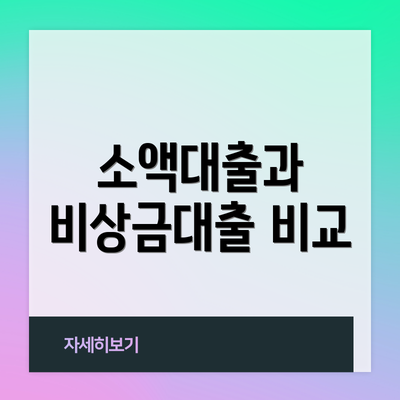 소액대출과 비상금대출 비교