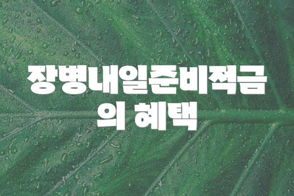 장병내일준비적금의 혜택