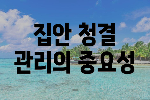 집안 청결 관리의 중요성
