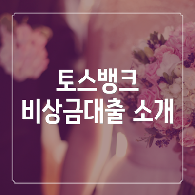 토스뱅크 비상금대출 소개