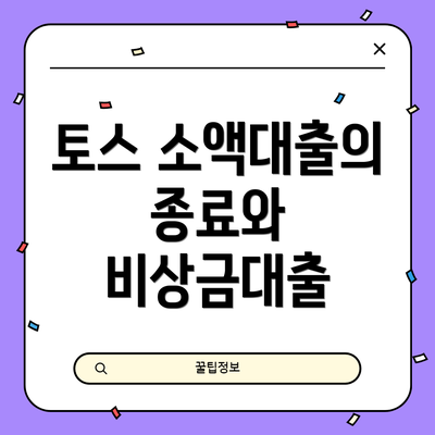 토스 소액대출의 종료와 비상금대출