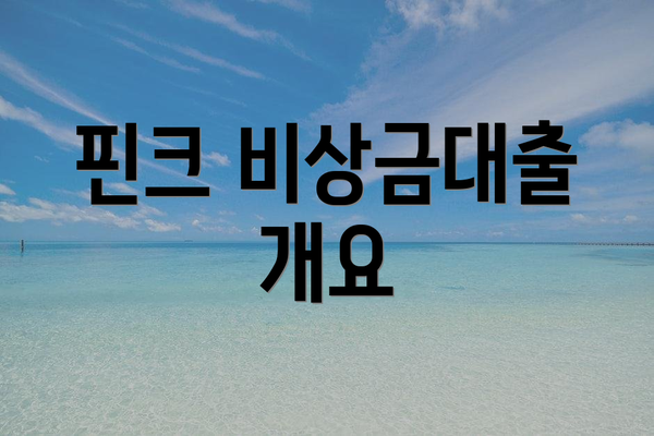 핀크 비상금대출 개요