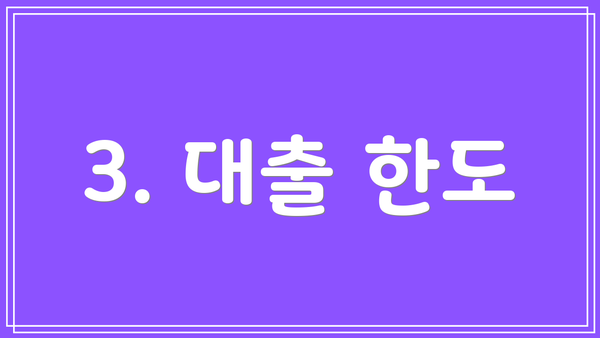 3. 대출 한도