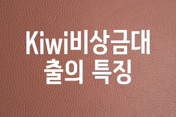 Kiwi비상금대출의 특징