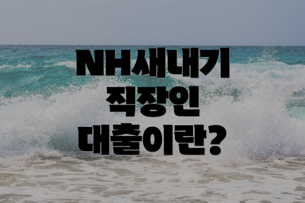 NH새내기 직장인 대출이란?