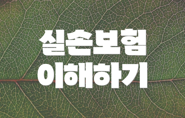 실손보험 이해하기