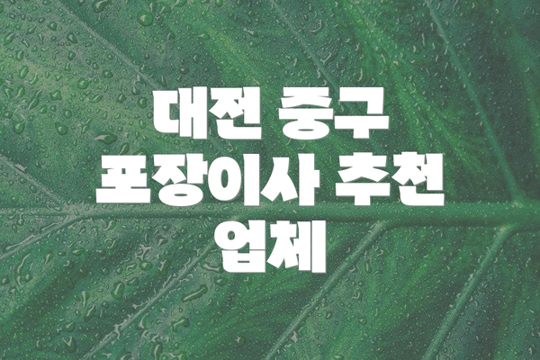 대전 중구 포장이사 추천 업체