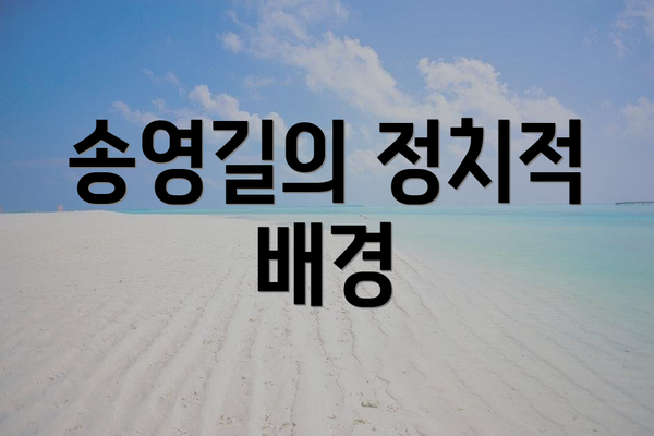 송영길의 정치적 배경