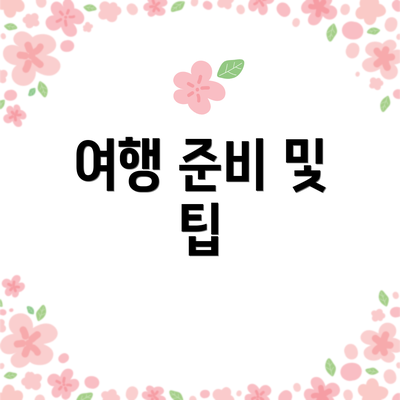 여행 준비 및 팁