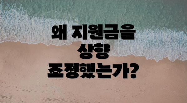 왜 지원금을 상향 조정했는가?