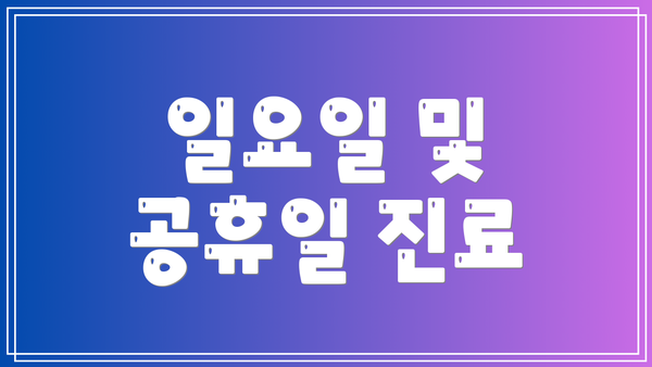 일요일 및 공휴일 진료