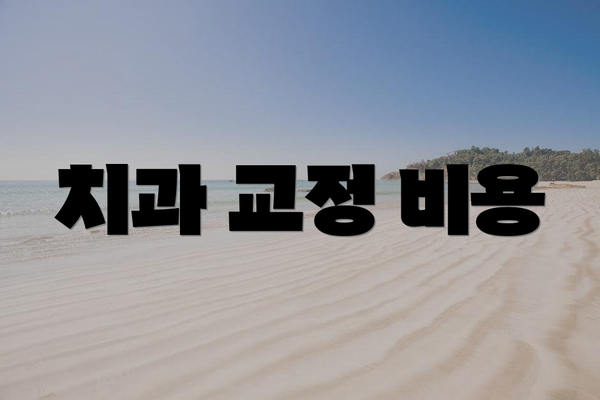 치과 교정 비용