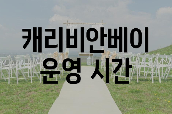 캐리비안베이 운영 시간