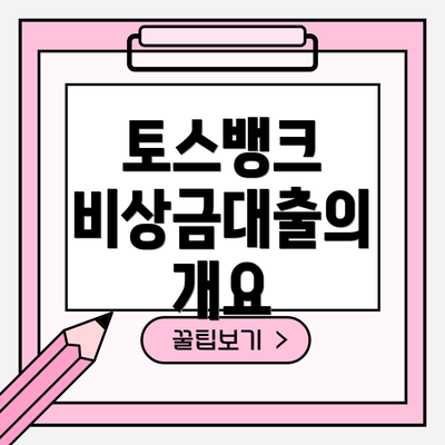 토스뱅크 비상금대출의 개요