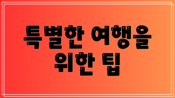 특별한 여행을 위한 팁