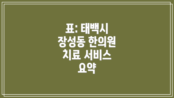표: 태백시 장성동 한의원 치료 서비스 요약