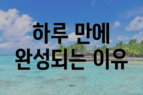 하루 만에 완성되는 이유