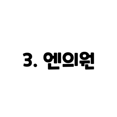 3. 엔의원