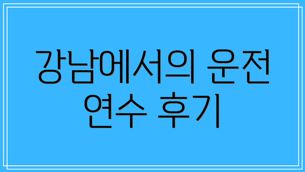 강남에서의 운전 연수 후기