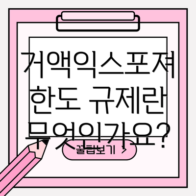 거액익스포져 한도 규제란 무엇인가요?