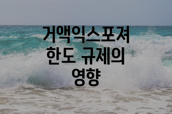 거액익스포져 한도 규제의 영향
