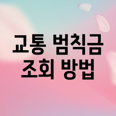 교통 범칙금 조회 방법
