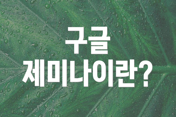 구글 제미나이란?