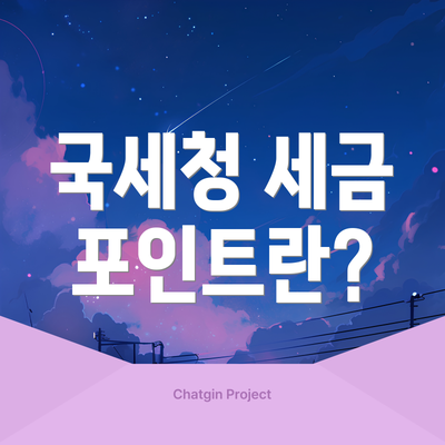 국세청 세금 포인트란?