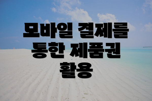 모바일 결제를 통한 제품권 활용