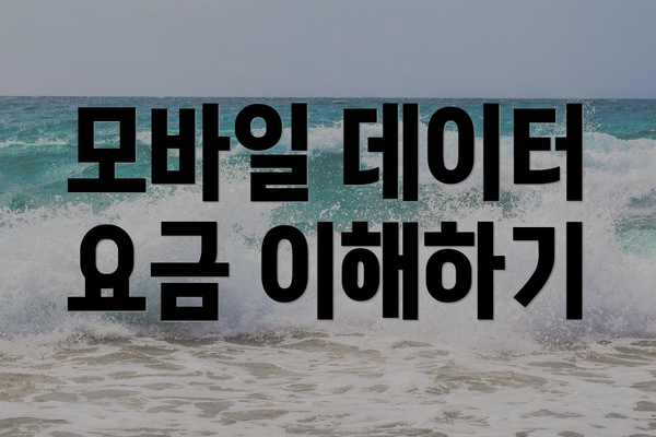 모바일 데이터 요금 이해하기