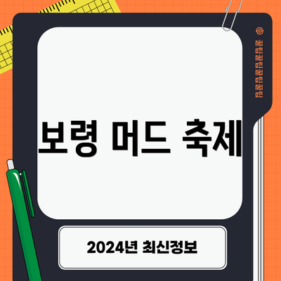 보령 머드 축제