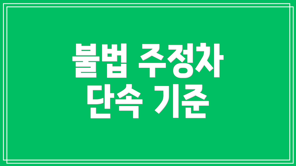 불법 주정차 단속 기준