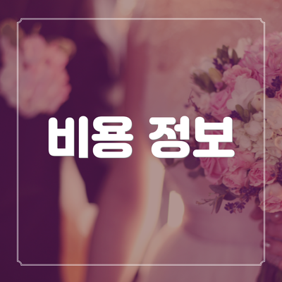 비용 정보