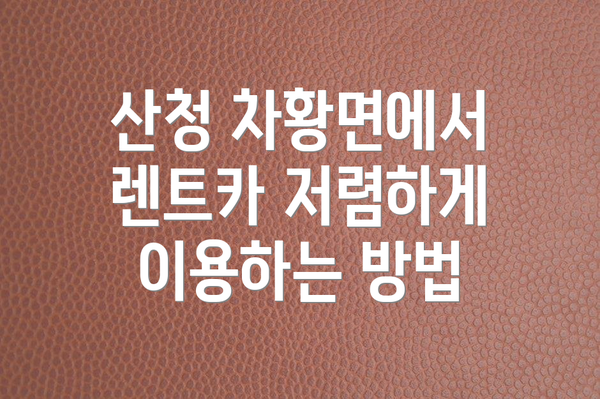 산청 차황면에서 렌트카 저렴하게 이용하는 방법