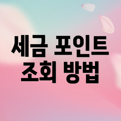 세금 포인트 조회 방법
