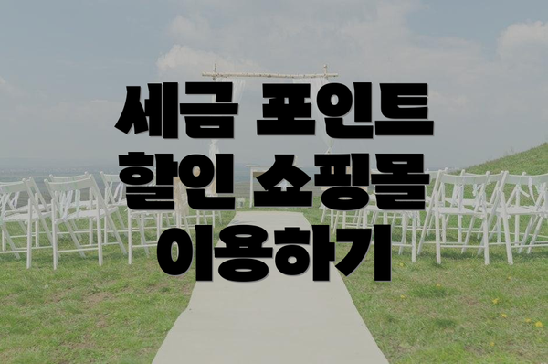 세금 포인트 할인 쇼핑몰 이용하기