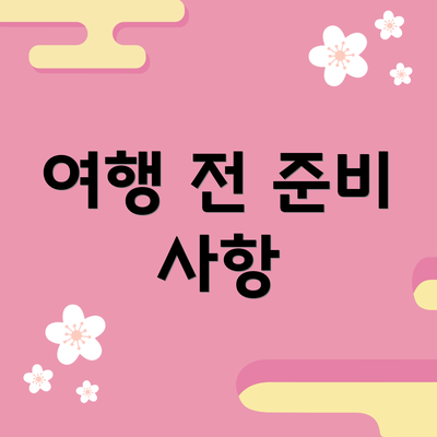 여행 전 준비 사항