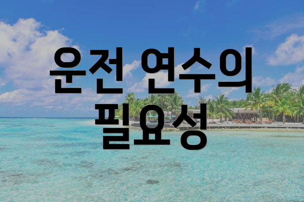 운전 연수의 필요성