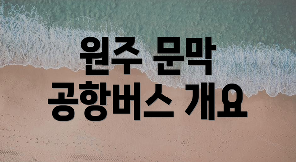원주 문막 공항버스 개요