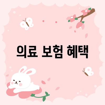 의료 보험 혜택