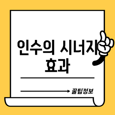 인수의 시너지 효과