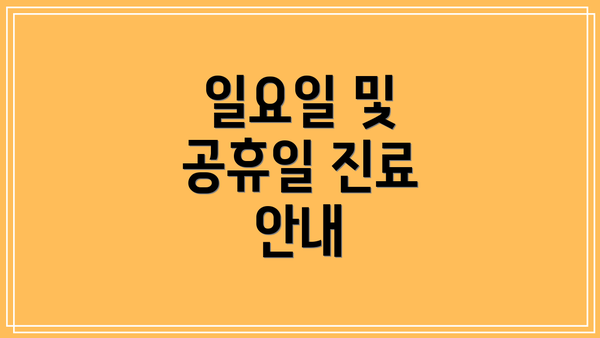 일요일 및 공휴일 진료 안내